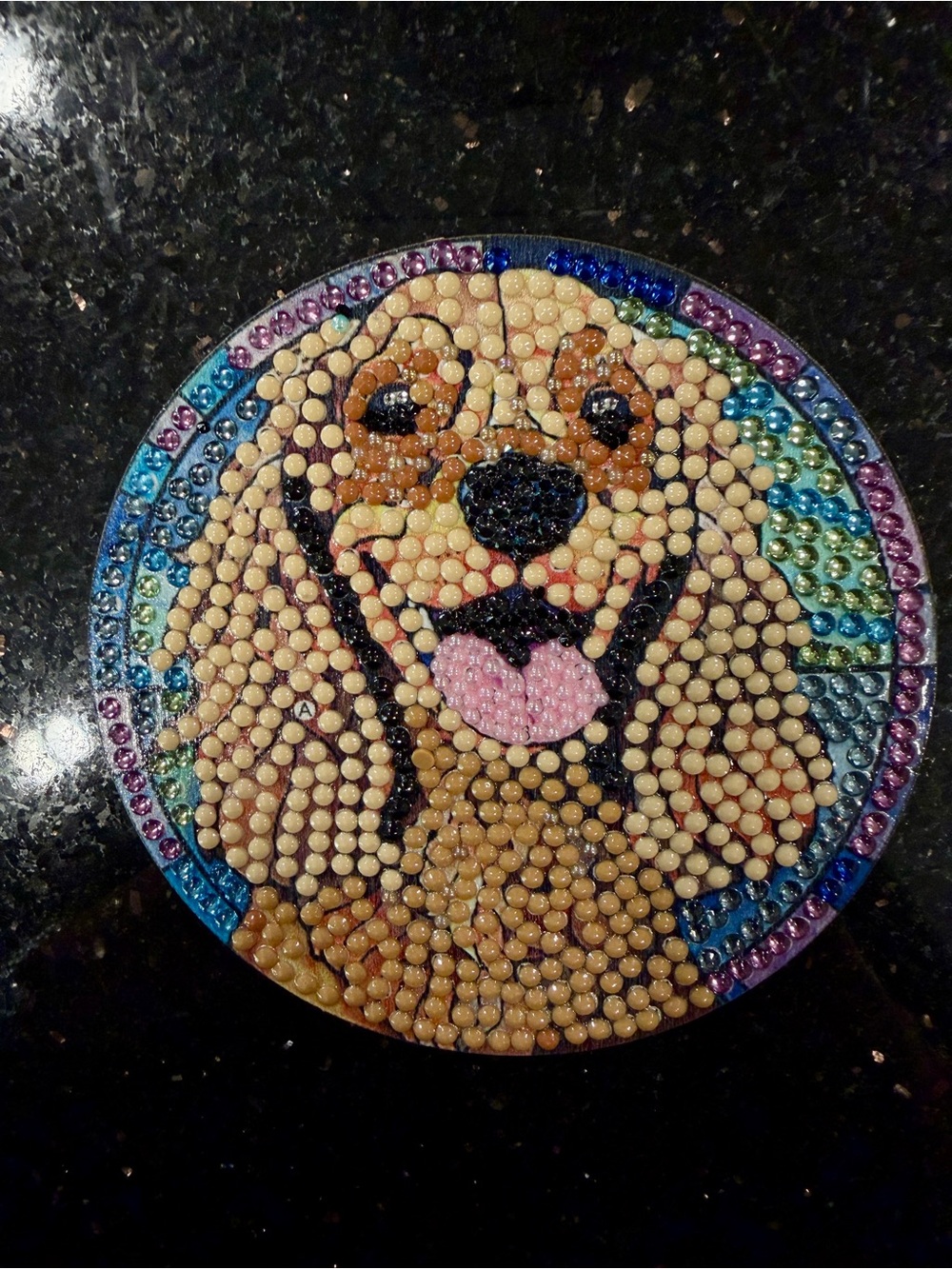 Custom Mosaic Dog Coasters (Set of 7) - Picture 8 of 9